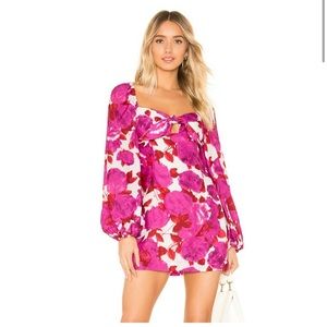 LIKE NEW- Alice McCall dress